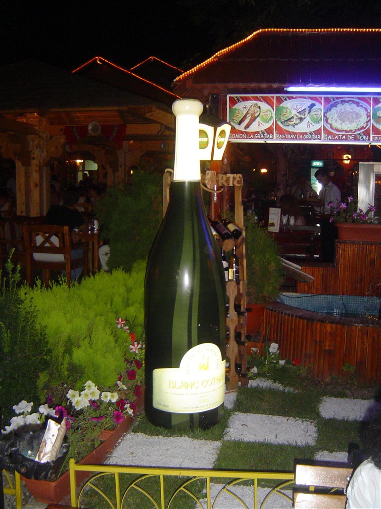 Poza sampanie - 3d_sampanie [1]